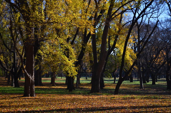 a0288500_16102425.jpg