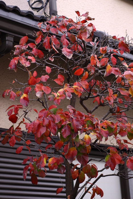 d0248502_15174210.jpg