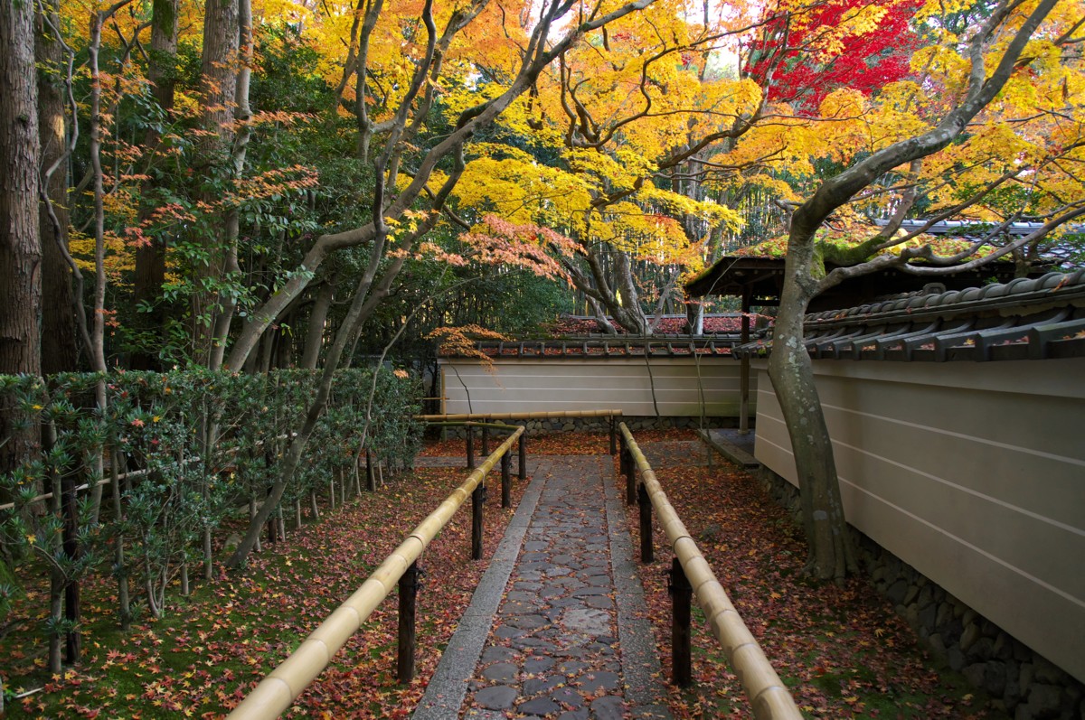 紅葉の京都駆け足の旅（完）　－　大徳寺塔頭高桐院_c0156404_13373178.jpg