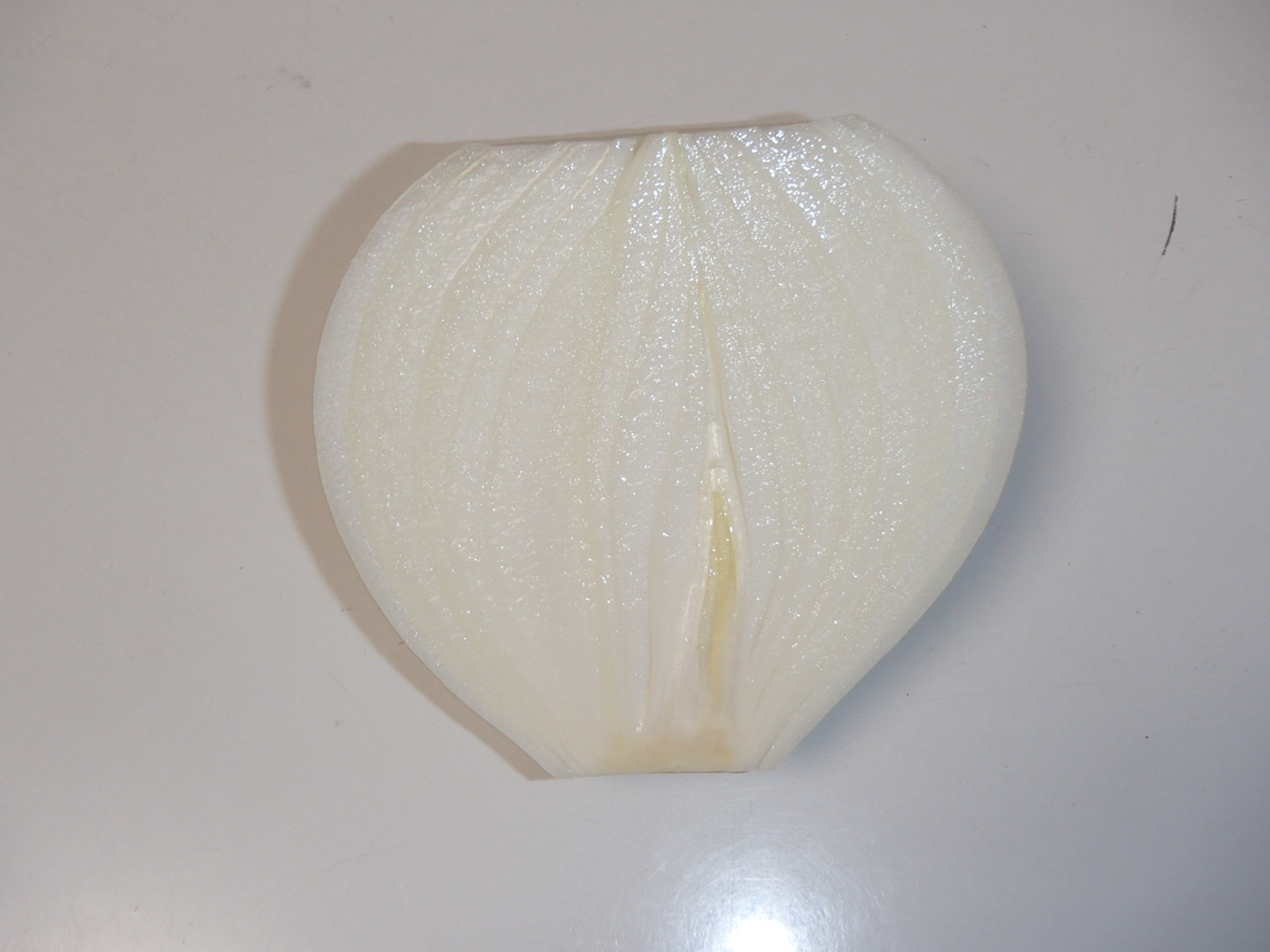 c0165909_15033313.jpg