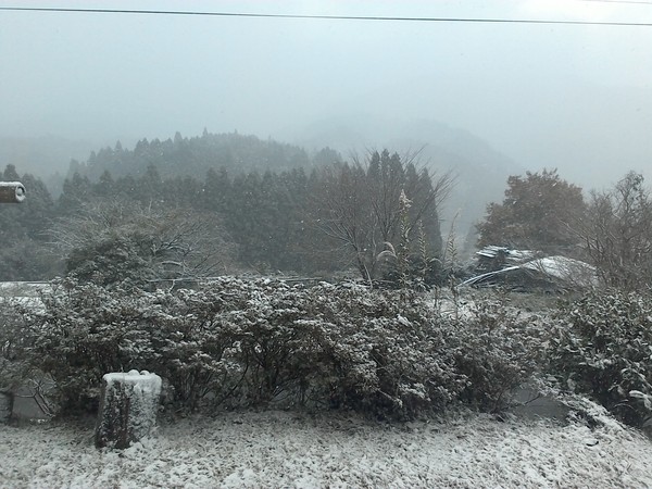 c0263809_20415730.jpg