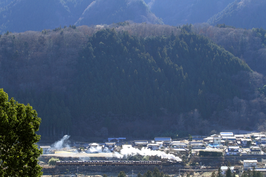 b0190710_0361578.jpg