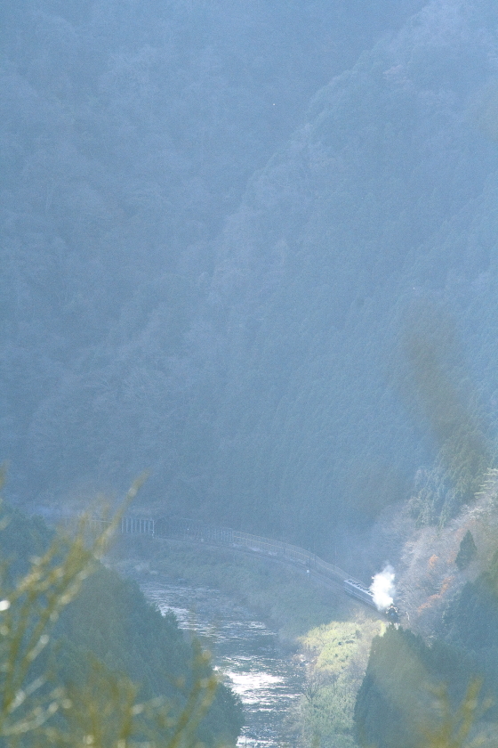 久慈川に沿って走るC61 - 2014年初冬・水郡線 - _b0190710_2141743.jpg