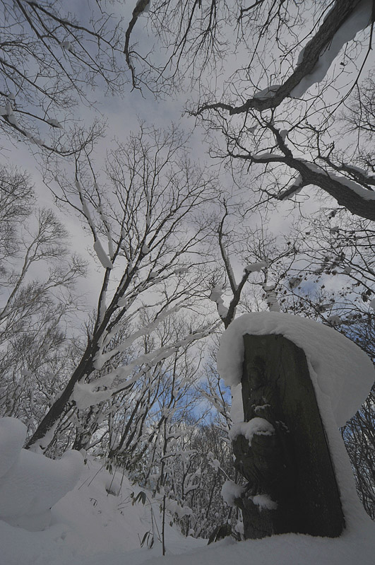 赤岩山へ　今季初めての雪山歩き_d0174510_15123776.jpg