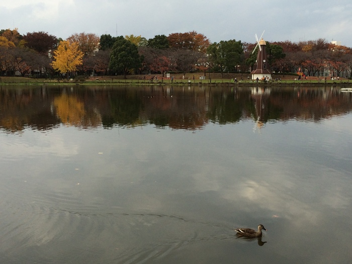 b0067012_14930.jpg