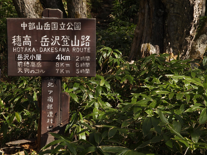 c0110112_22464753.jpg