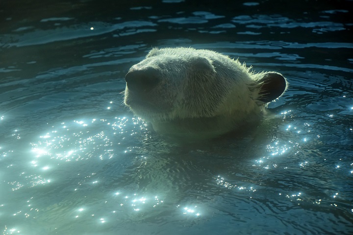 a0151913_21514367.jpg