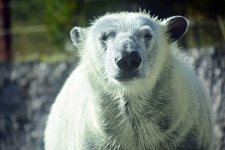 a0151913_21515320.jpg