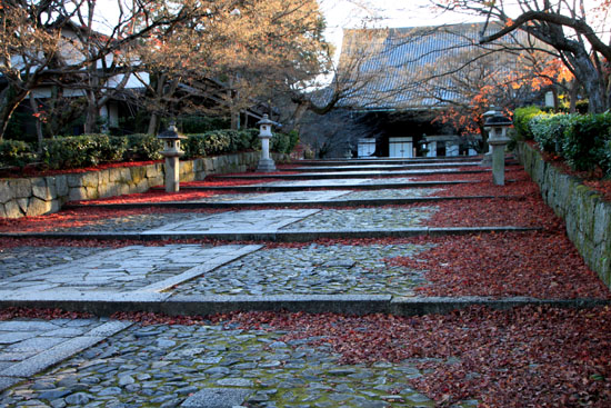 14紅葉めぐり 59 真如堂敷きもみじ_e0048413_1636258.jpg