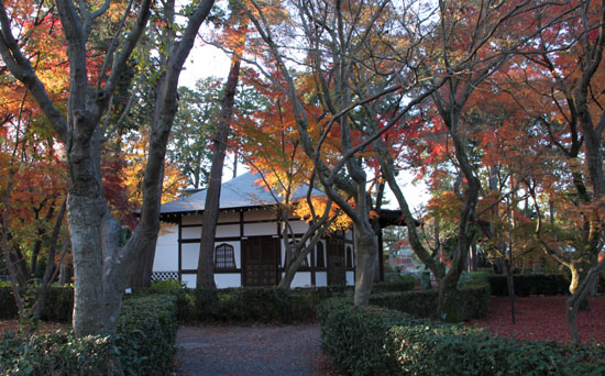 14紅葉めぐり 59 真如堂敷きもみじ_e0048413_16363525.jpg