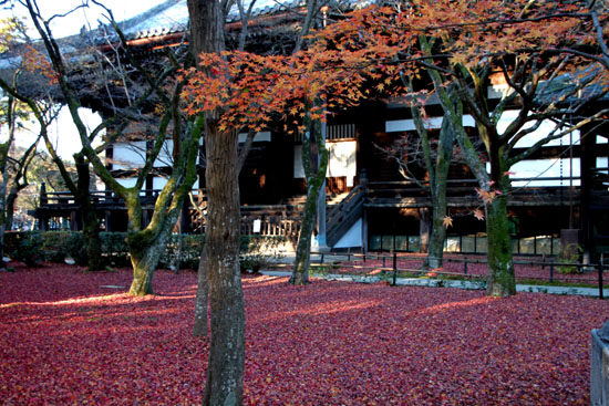 14紅葉めぐり 59 真如堂敷きもみじ_e0048413_1637123.jpg