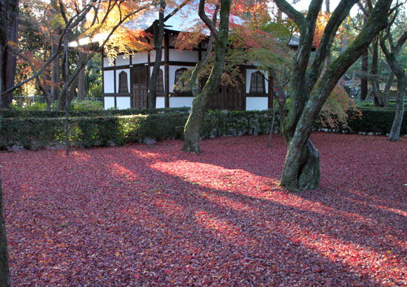 14紅葉めぐり 59 真如堂敷きもみじ_e0048413_16372486.jpg