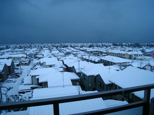 c0084117_943356.jpg