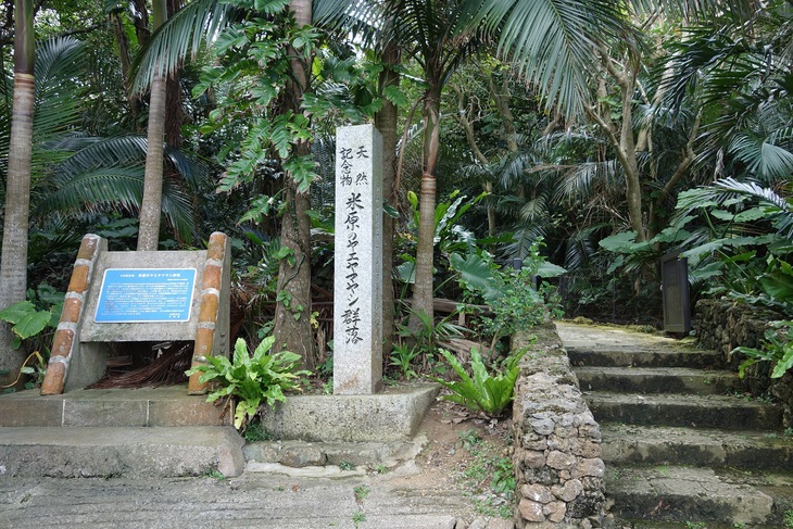 f0348933_13395742.jpg