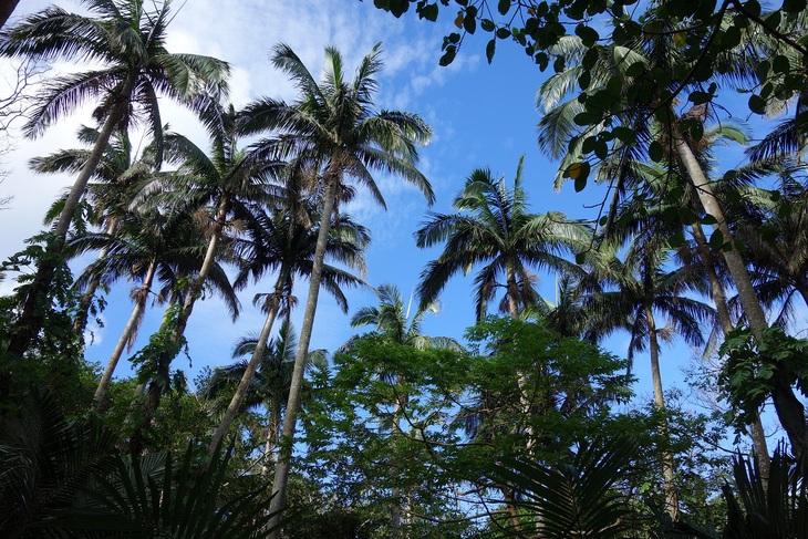 f0348933_13432374.jpg