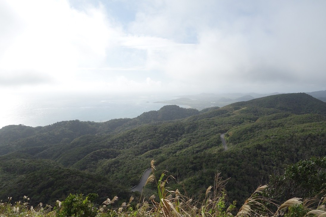 f0348933_803599.jpg