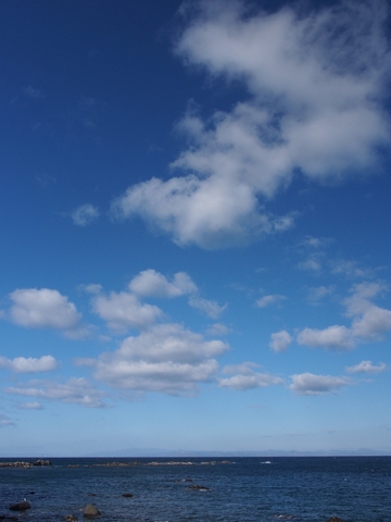 b0042334_10435060.jpg