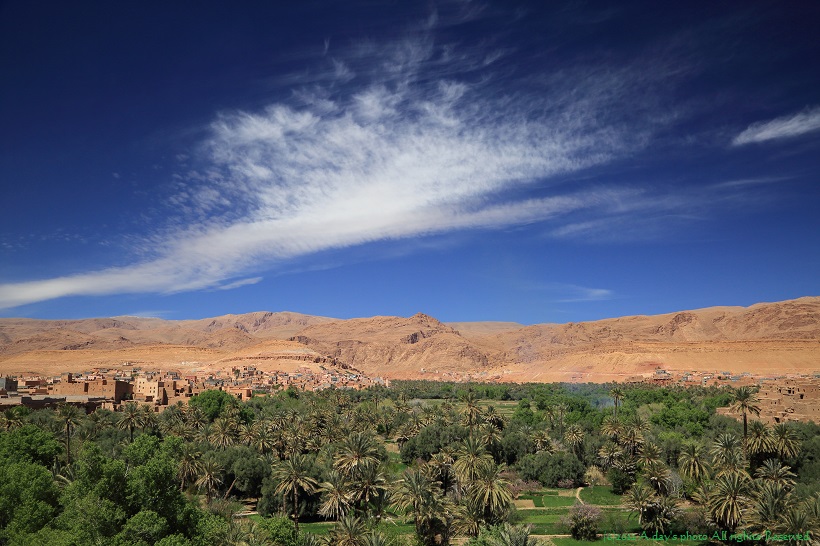c0244037_22435816.jpg