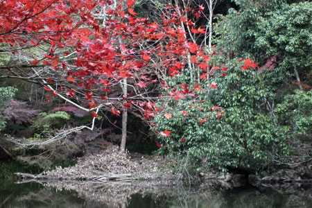 c0068639_17144421.jpg