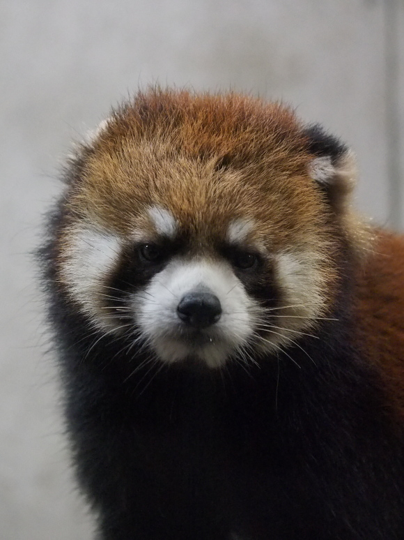 a0149740_0553957.jpg
