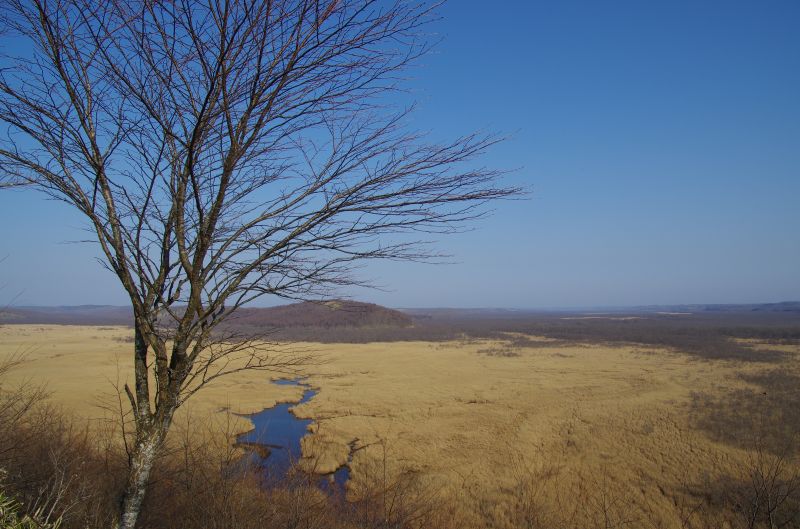 初冬の道東から　４・・・湿原を感じて_b0133447_1631433.jpg