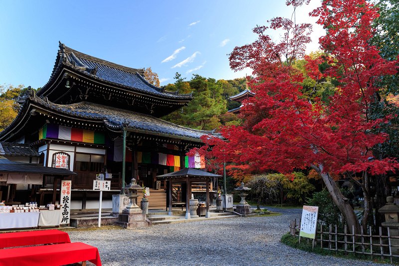 今熊野観音寺・朝の彩り_f0155048_05957.jpg