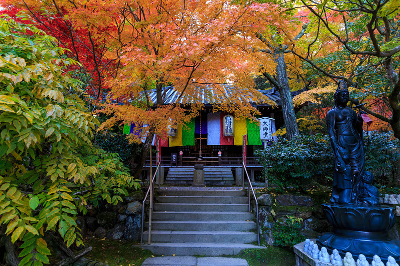 今熊野観音寺・朝の彩り_f0155048_065850.jpg