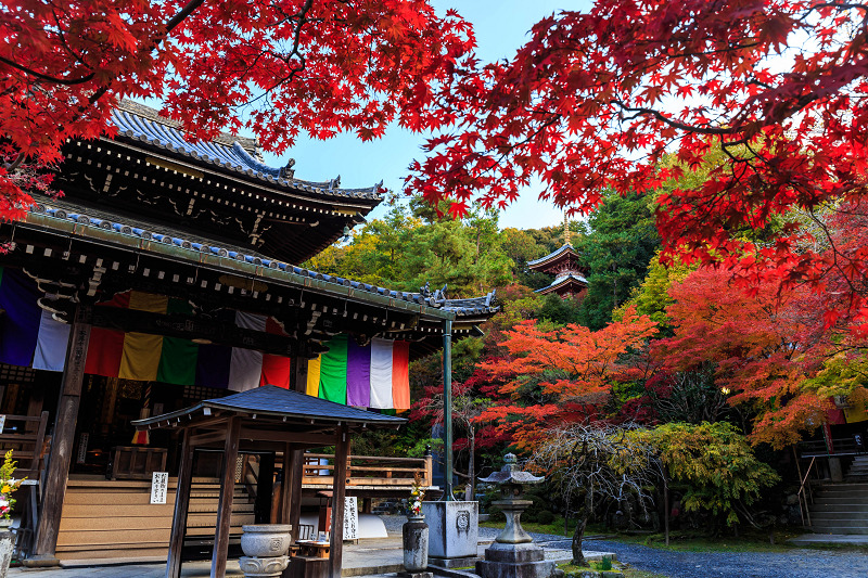 今熊野観音寺・朝の彩り_f0155048_06840.jpg