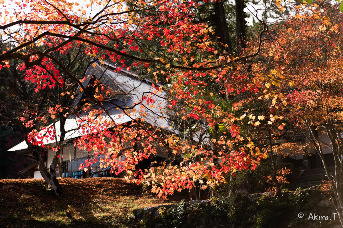 京都の紅葉 2014　〜龍穏寺〜_f0152550_15271198.jpg