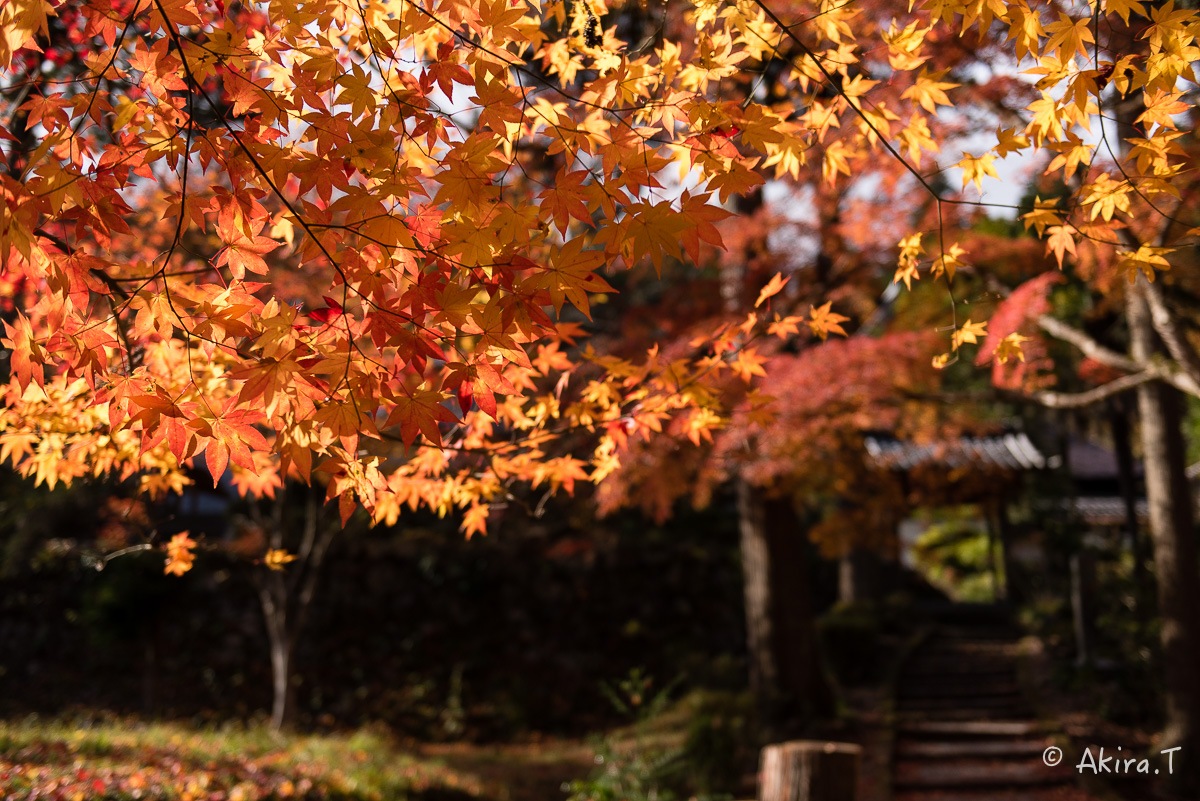 京都の紅葉 2014　〜龍穏寺〜_f0152550_152751100.jpg