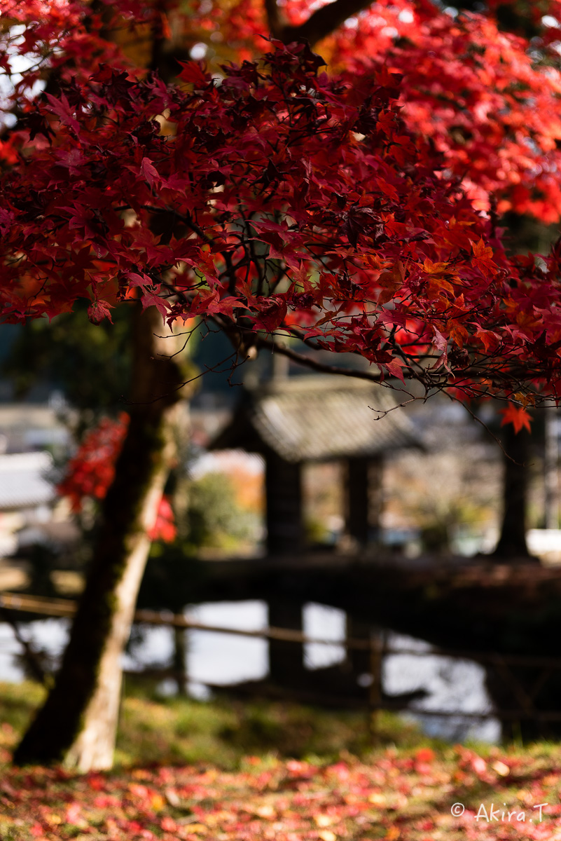 京都の紅葉 2014　〜龍穏寺〜_f0152550_15285292.jpg