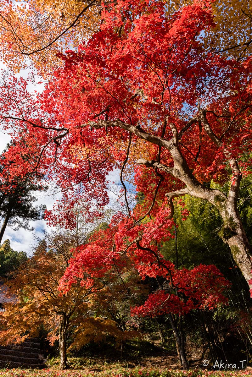 京都の紅葉 2014　〜龍穏寺〜_f0152550_1528588.jpg