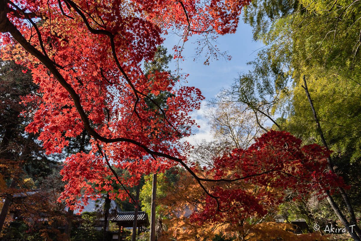 京都の紅葉 2014　〜龍穏寺〜_f0152550_15291032.jpg