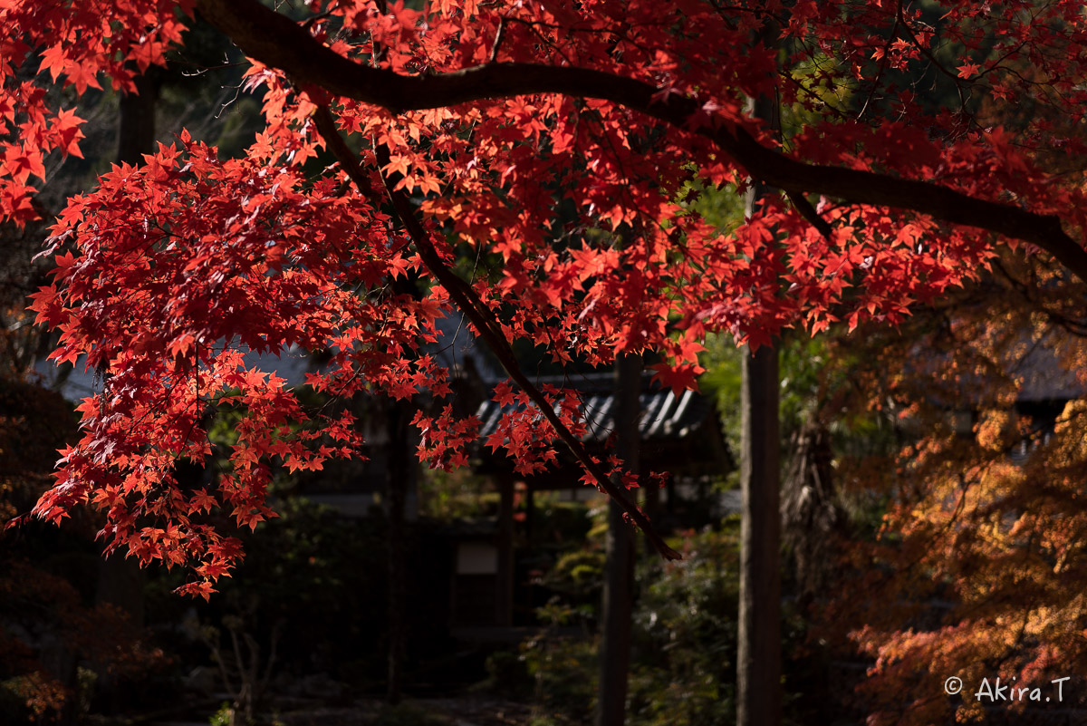 京都の紅葉 2014　〜龍穏寺〜_f0152550_15292743.jpg