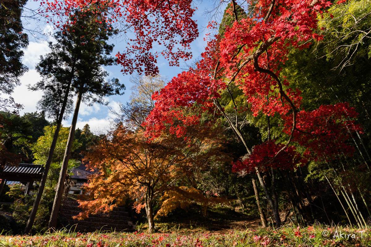 京都の紅葉 2014　〜龍穏寺〜_f0152550_1530256.jpg