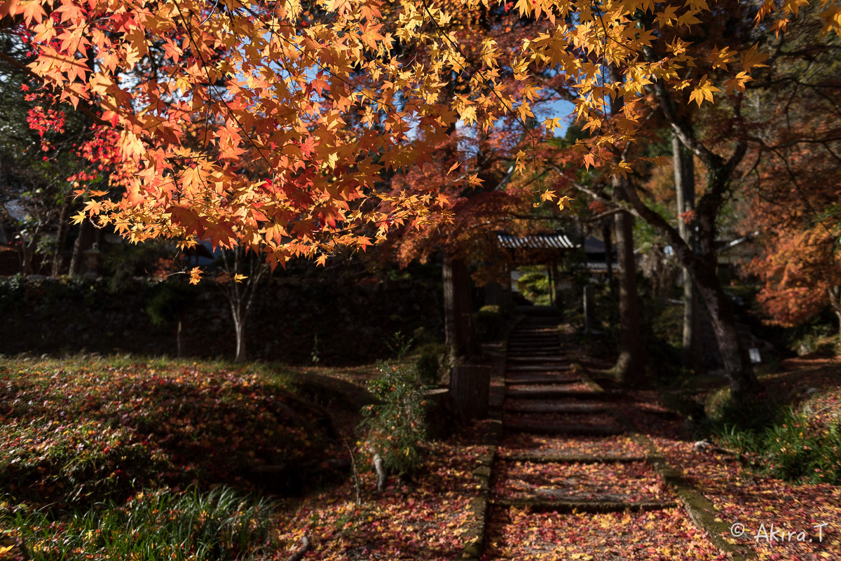 京都の紅葉 2014　〜龍穏寺〜_f0152550_15303575.jpg