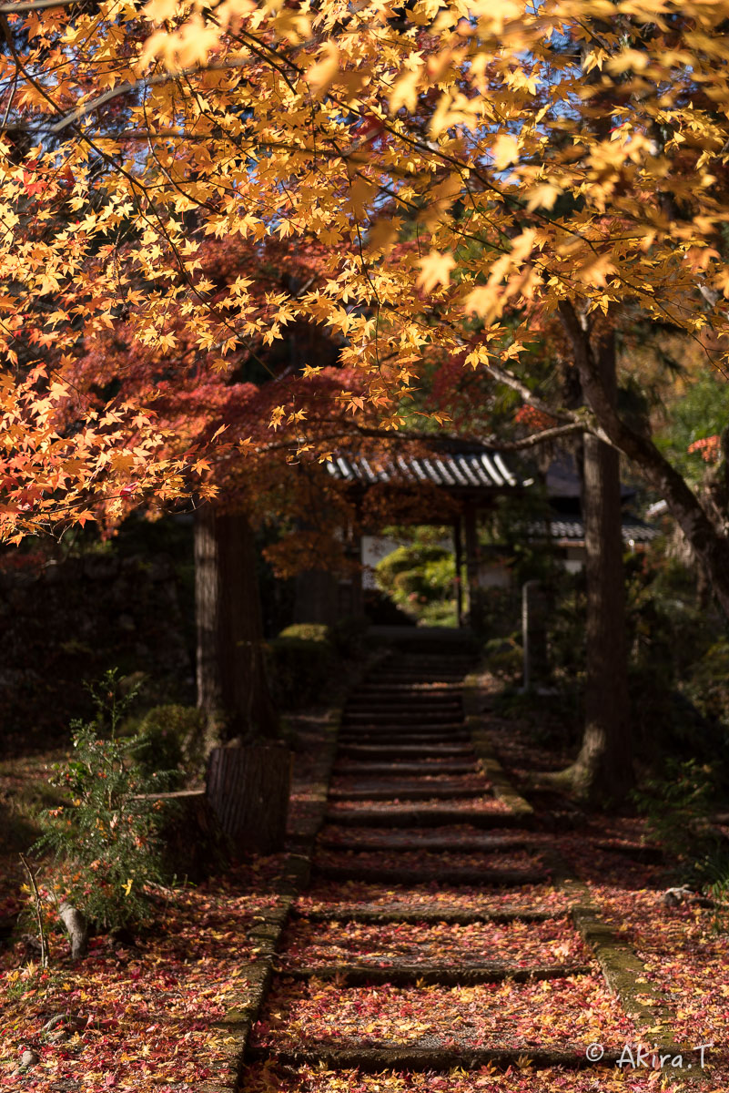 京都の紅葉 2014　〜龍穏寺〜_f0152550_15305548.jpg