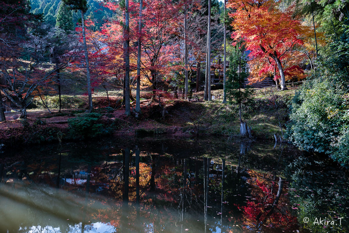 京都の紅葉 2014　〜龍穏寺〜_f0152550_15312445.jpg