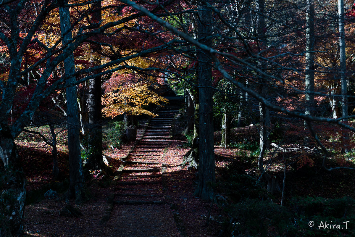 京都の紅葉 2014　〜龍穏寺〜_f0152550_1533175.jpg