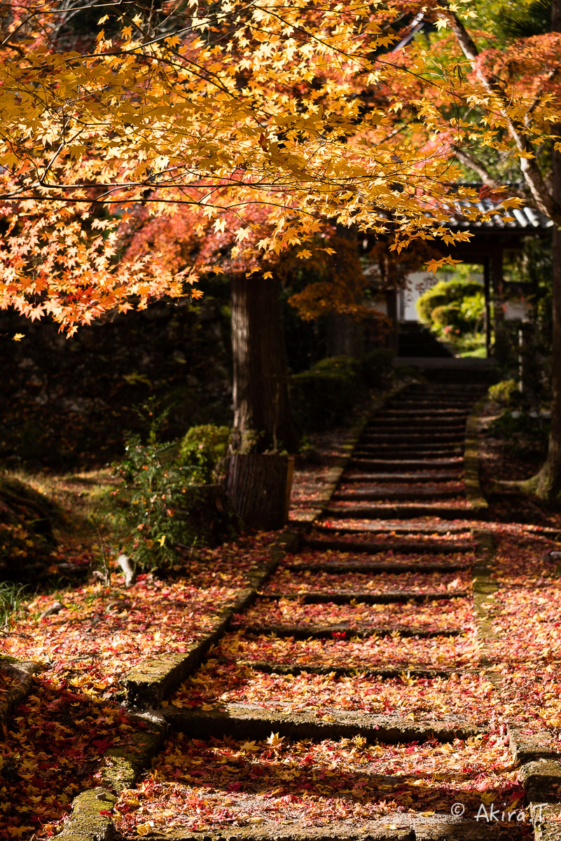 京都の紅葉 2014　〜龍穏寺〜_f0152550_15334167.jpg