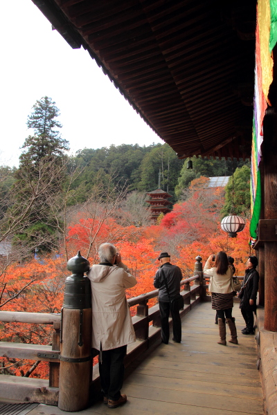 c0272958_12741.jpg