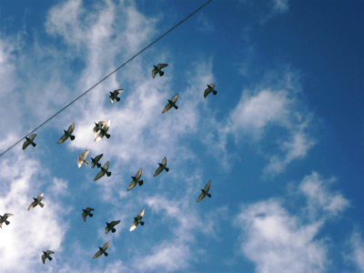 c0180460_0393638.jpg