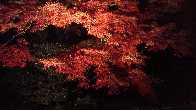 c0018666_06196.jpg