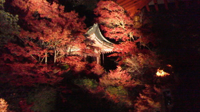 c0018666_06293.jpg
