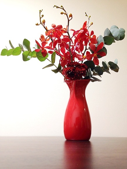 クリスマスシーズンの赤い花瓶 上田いとこ の ハナサカブログ