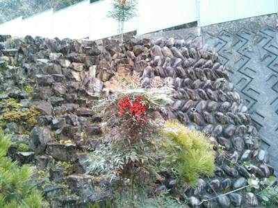 プチ便り(雪景色やわぁ~)_a0206870_17542818.jpg