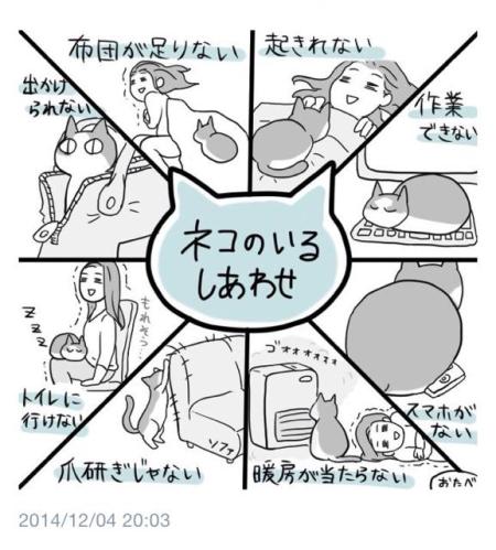 ネコのいるしあわせ ねこの実このみ