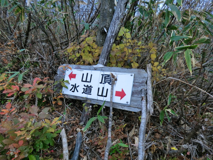 b0185573_2133561.jpg
