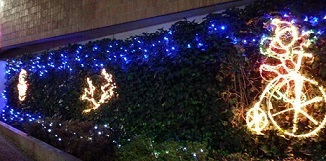 a0264383_23093640.jpg