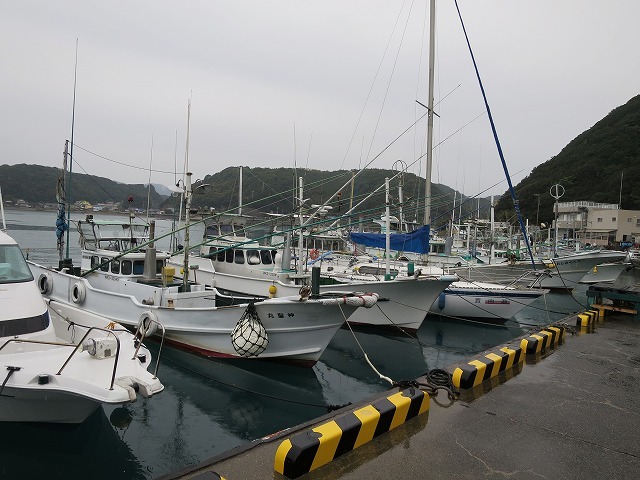 熊野古道大辺路を歩く・串本から古座川へー３_b0326483_23032655.jpg